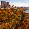 Bard Haven Towers, Columbia University Medical Center Campus. New York City: Autumntime